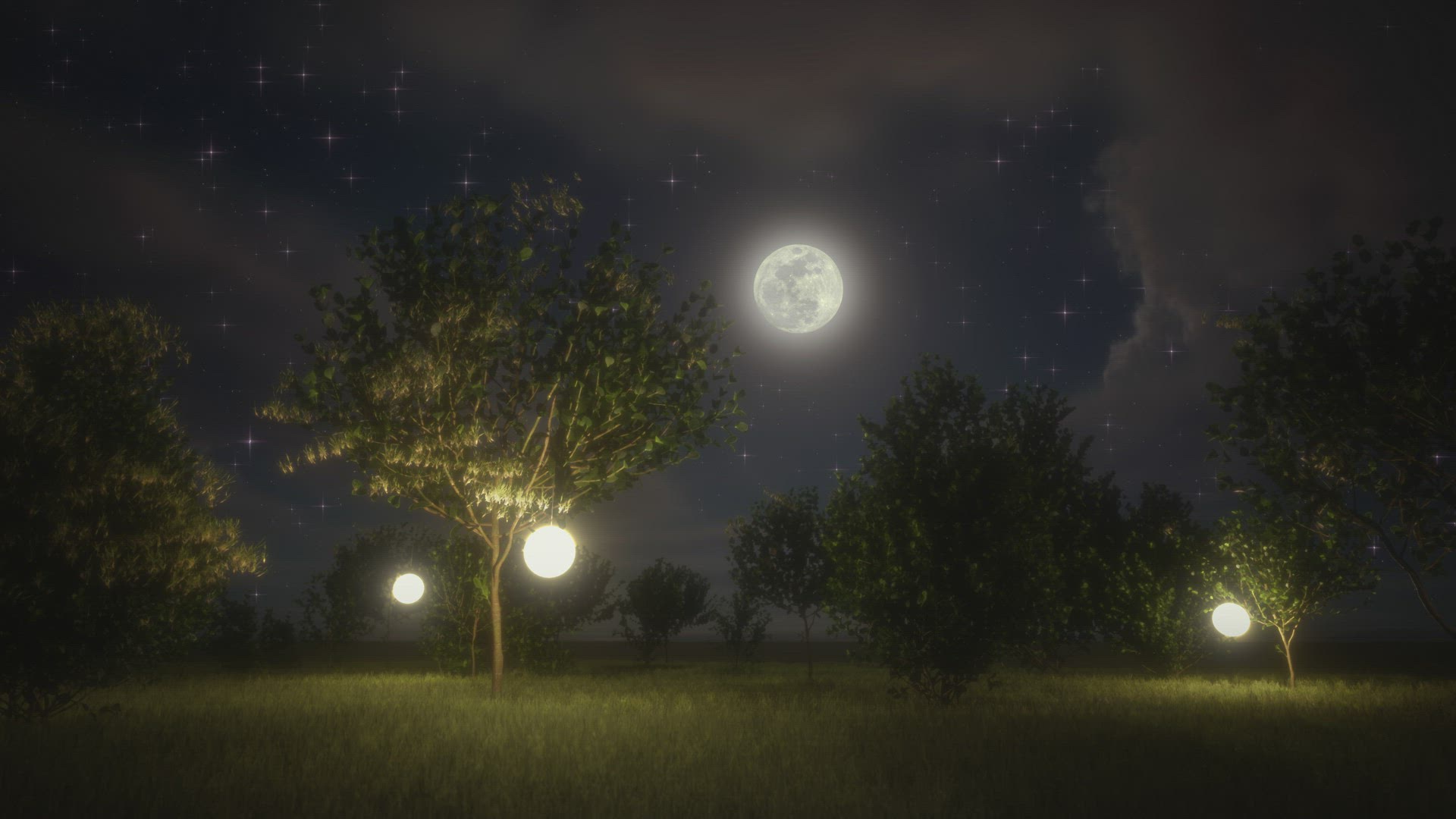 Night garden with lanterns