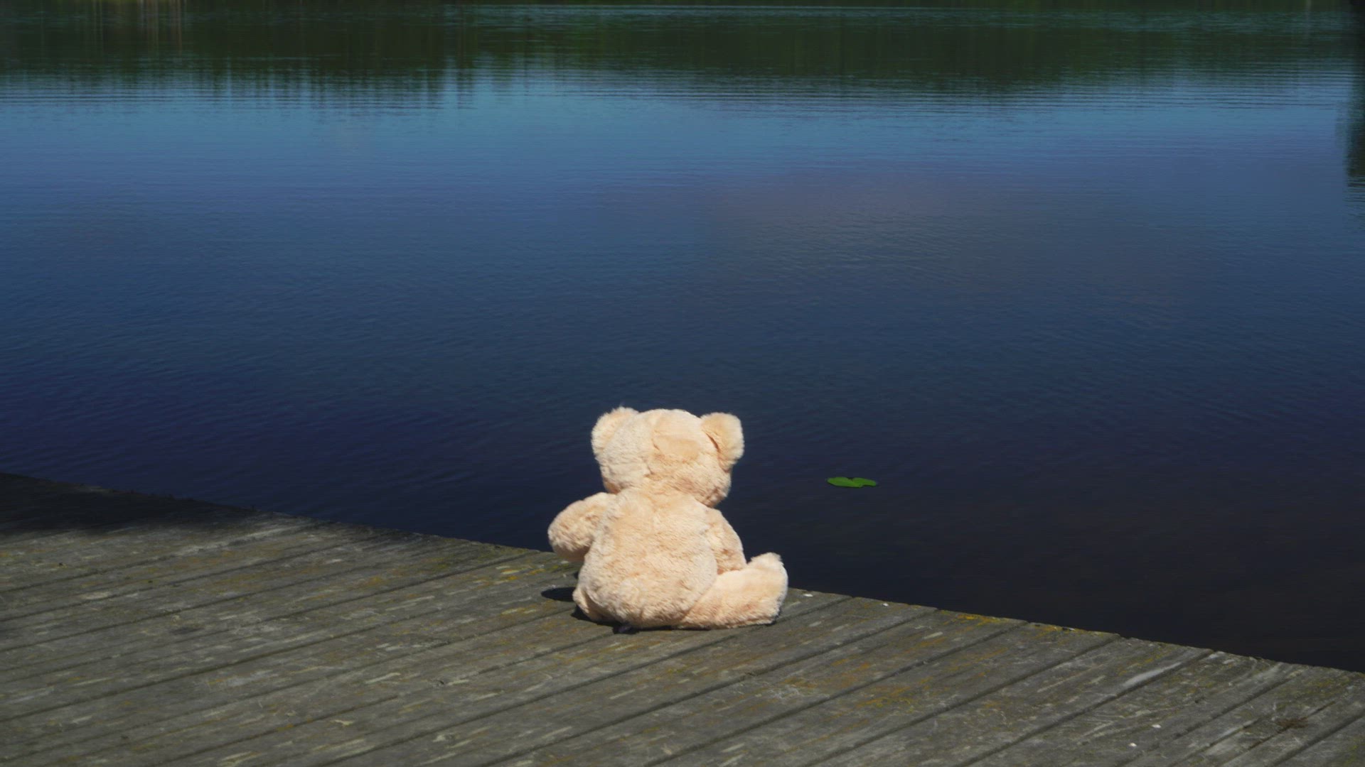 teddy bear sitting on jetty in lake - mirror lake
