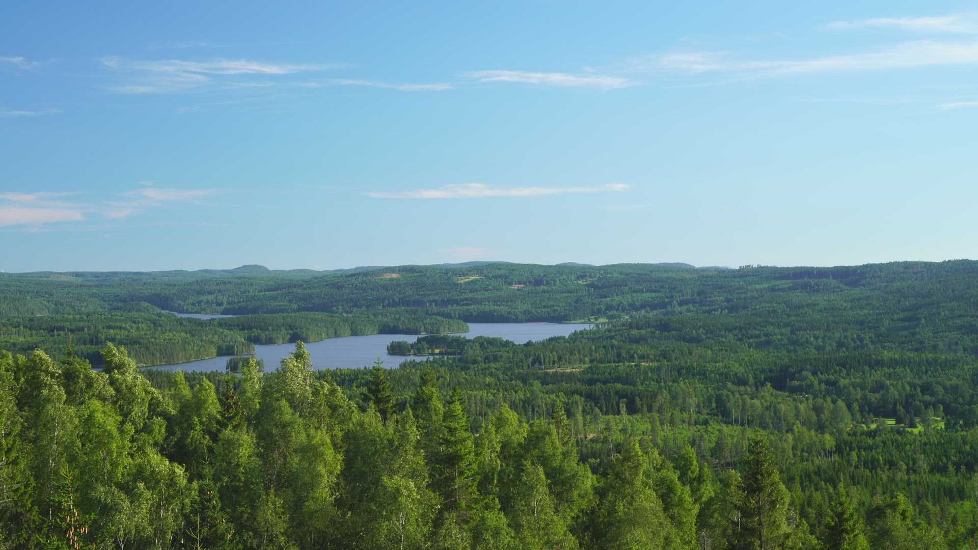 view from viewpoint - overlooking swedish landscape with forests and lakes