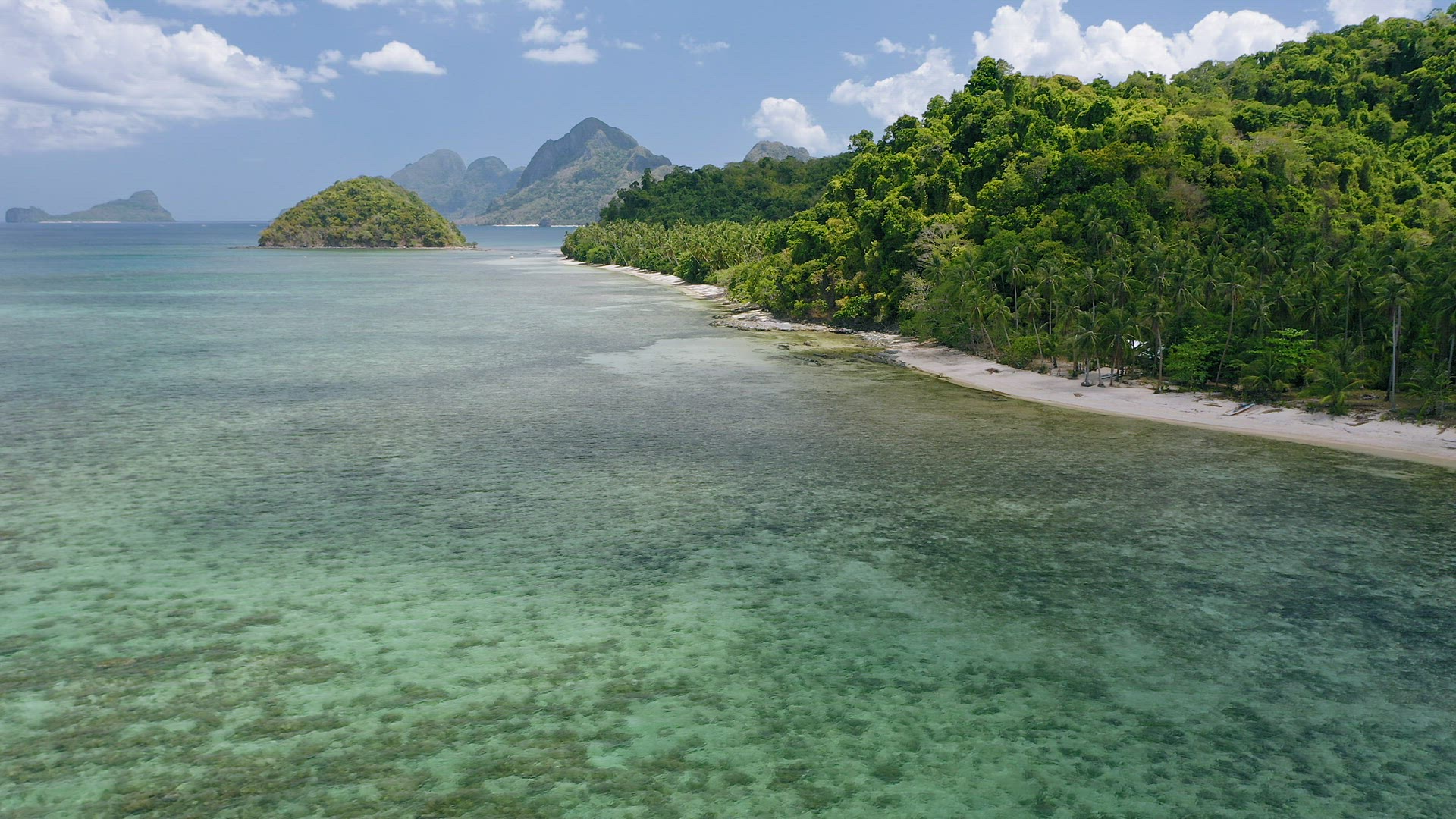 4k Aerial view of El Nido tropical beach with many palm trees and old corals in shallow water. Palaw