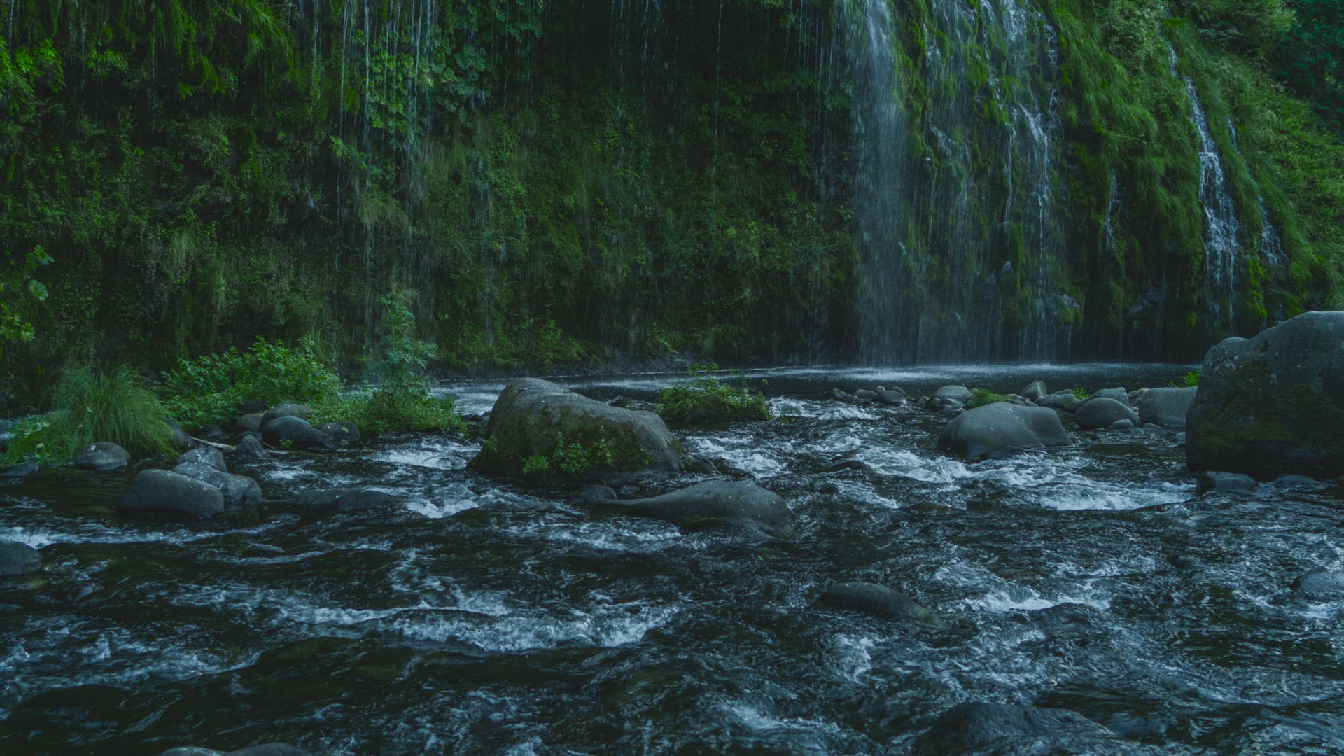 Water Flows over Mossy Canyon Wall 6K