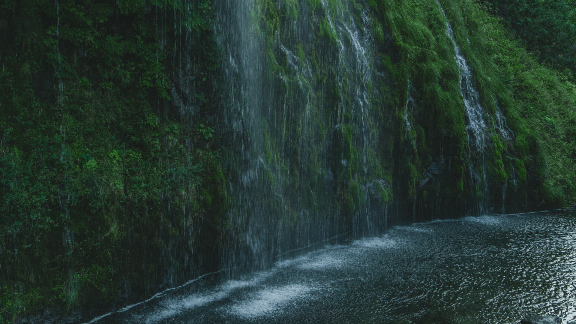 Water Falls Down Mossy Wall 6K
