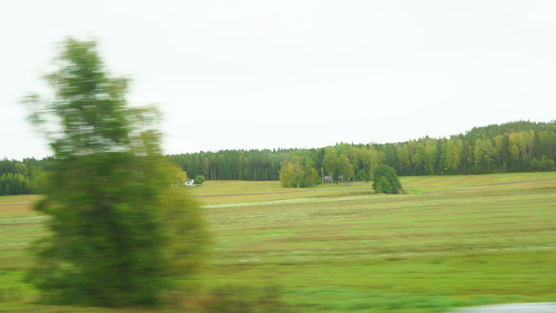 side window view - pov from train - travelling past swedish autumn landscape - rural area