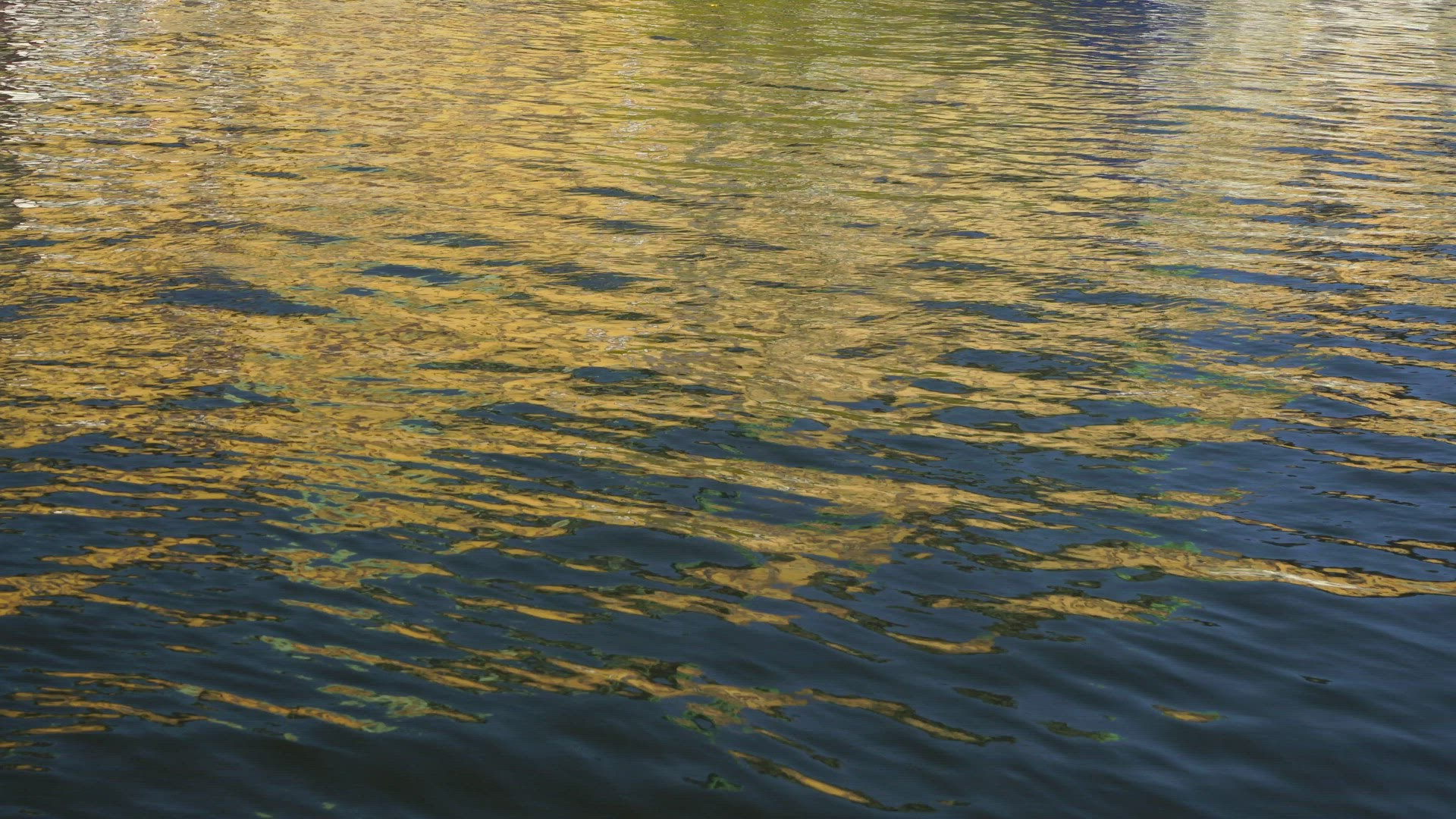 reflections in water - ripples - waves -