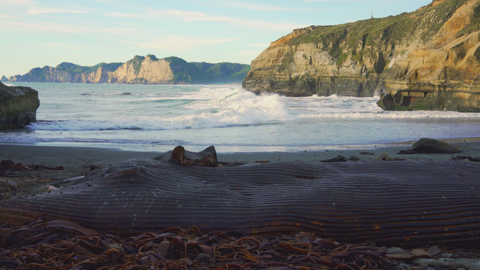 Washed Up Carcass Of Whale On Beach With Ocean Waves Crashing