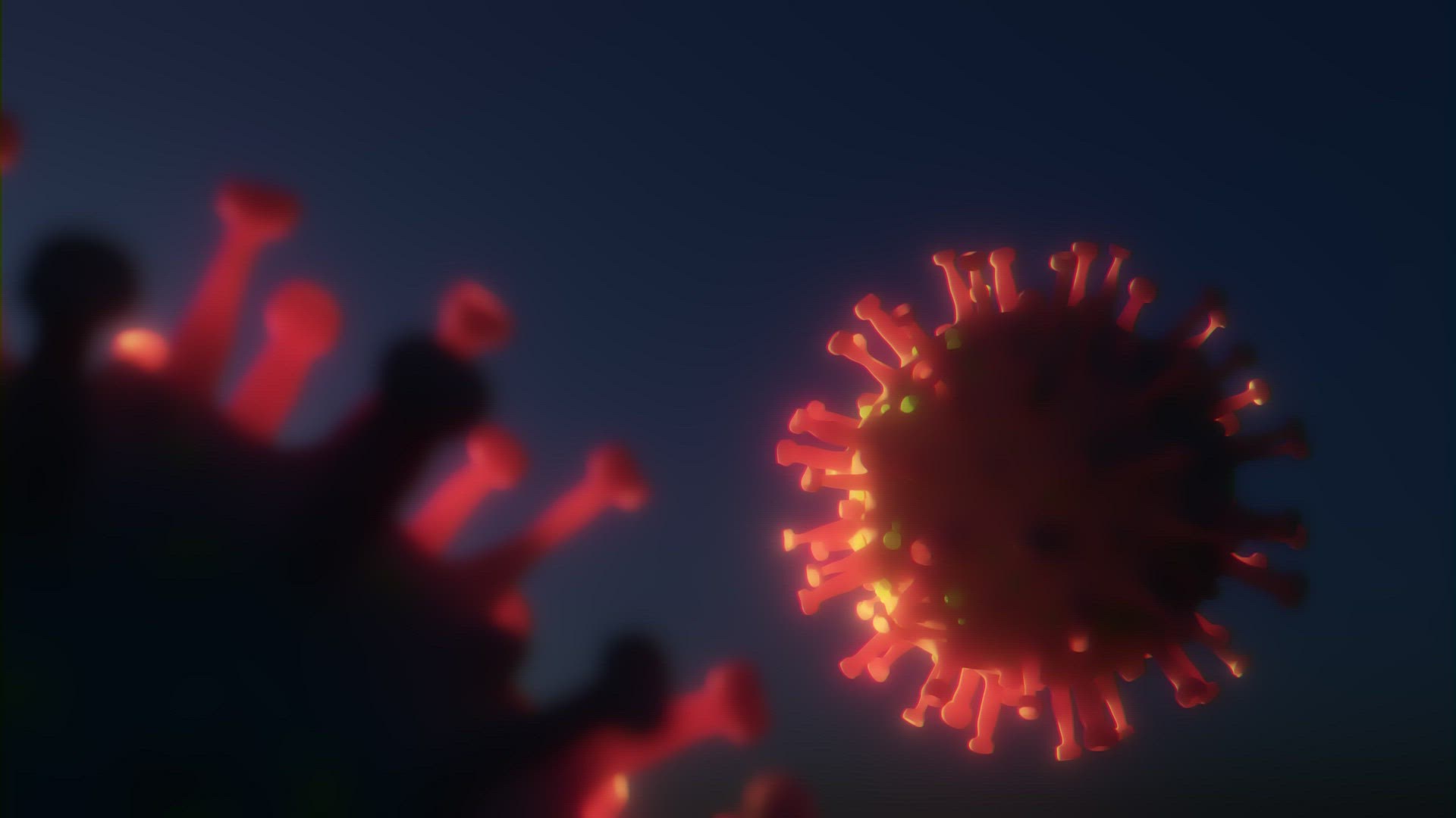 Coronavirus COVID-19 DELTA VARIANT.