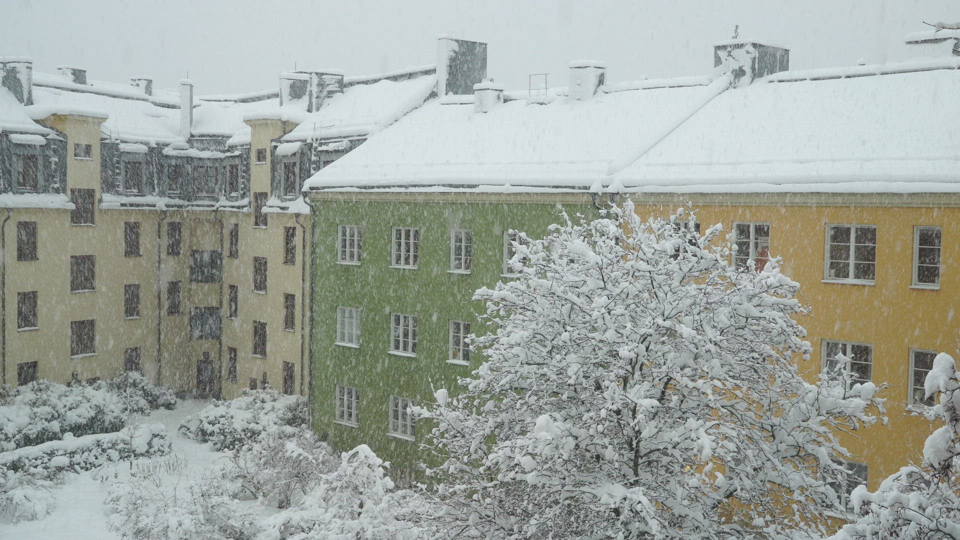 heavy snowfall - tenement house facades in background - snow falling on snow covered trees