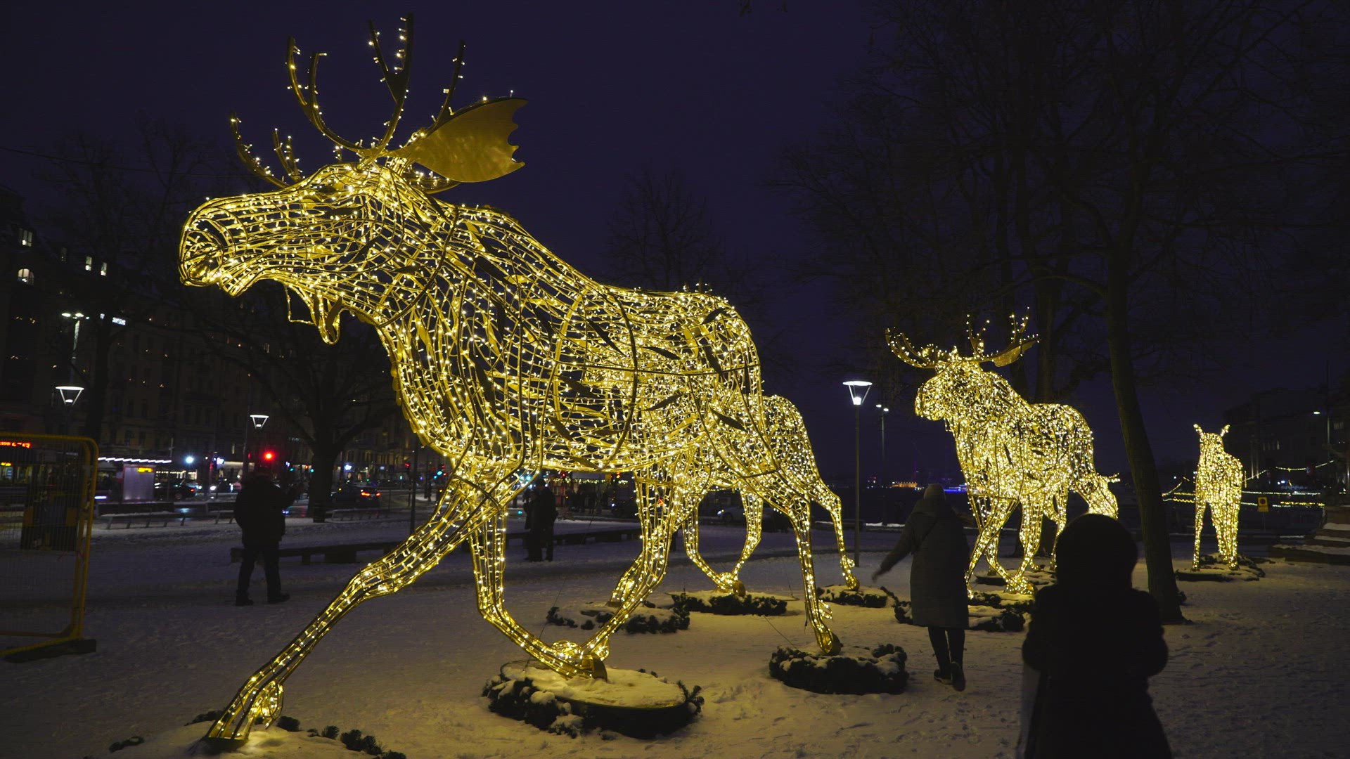 christmas decorations in central Stockholm - illuminated elks