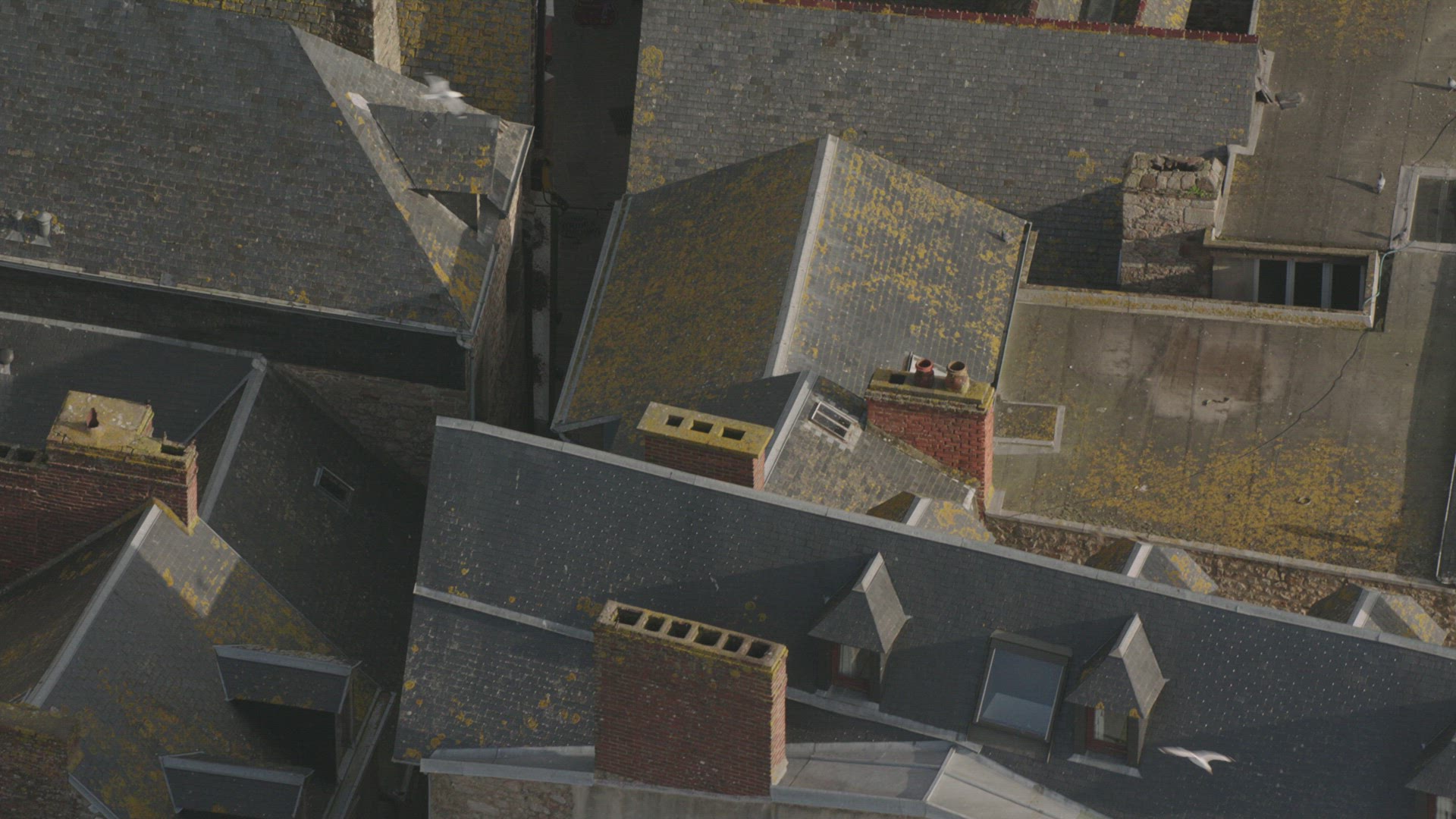 Aerial View Brittany