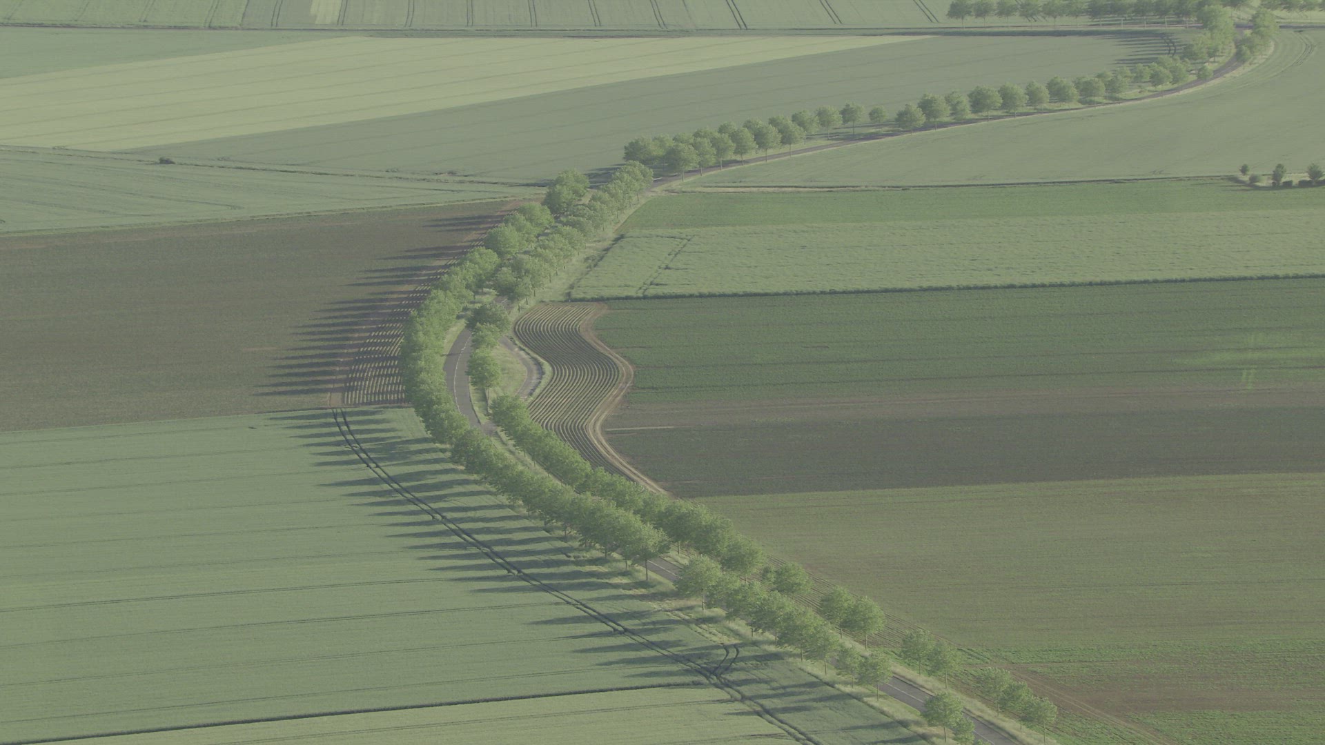 Aerial View Haut de France