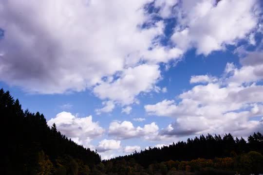 Time-lapse of Clouds Passing Over the Forest