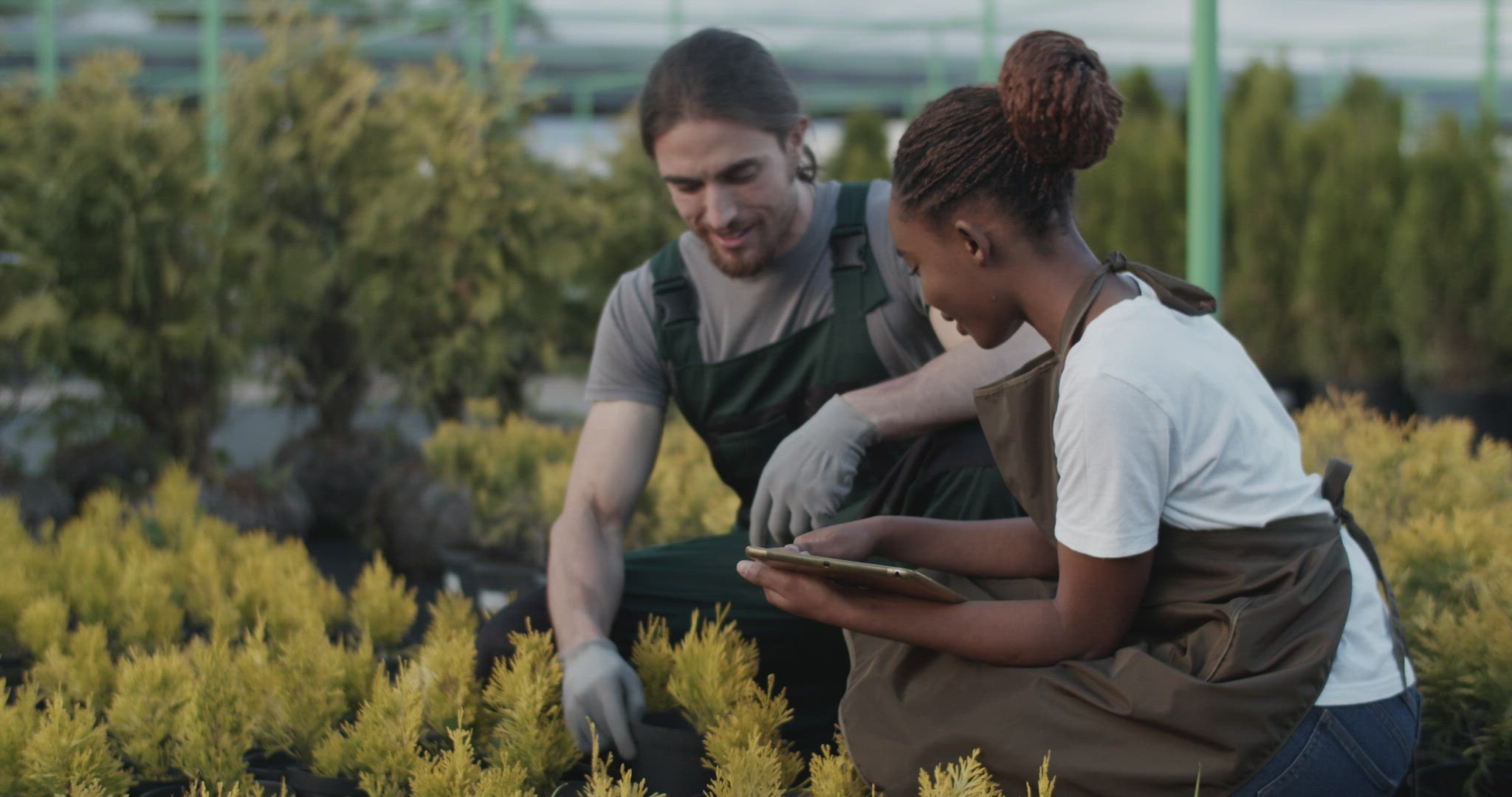 Diverse farmers discussing quality of plant
