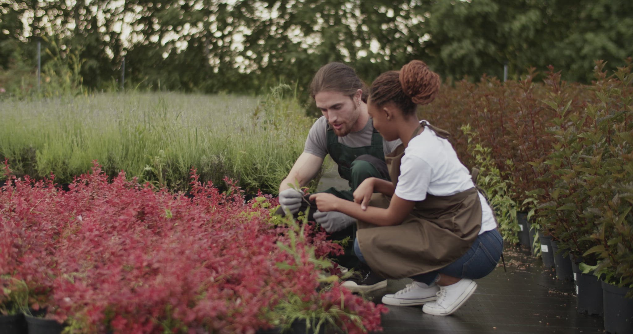 Multiracial colleagues examining plant on farm