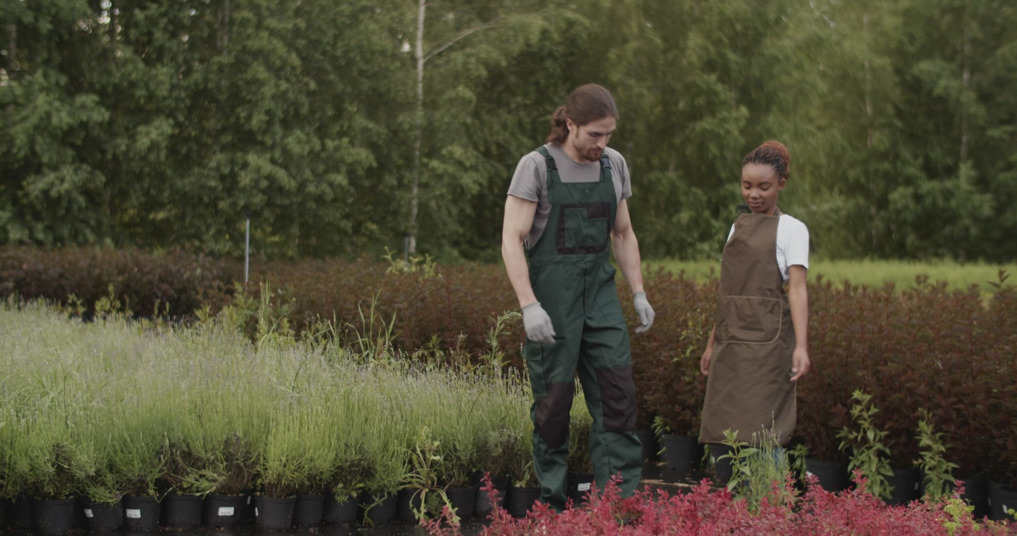 Diverse farmers checking plant quality