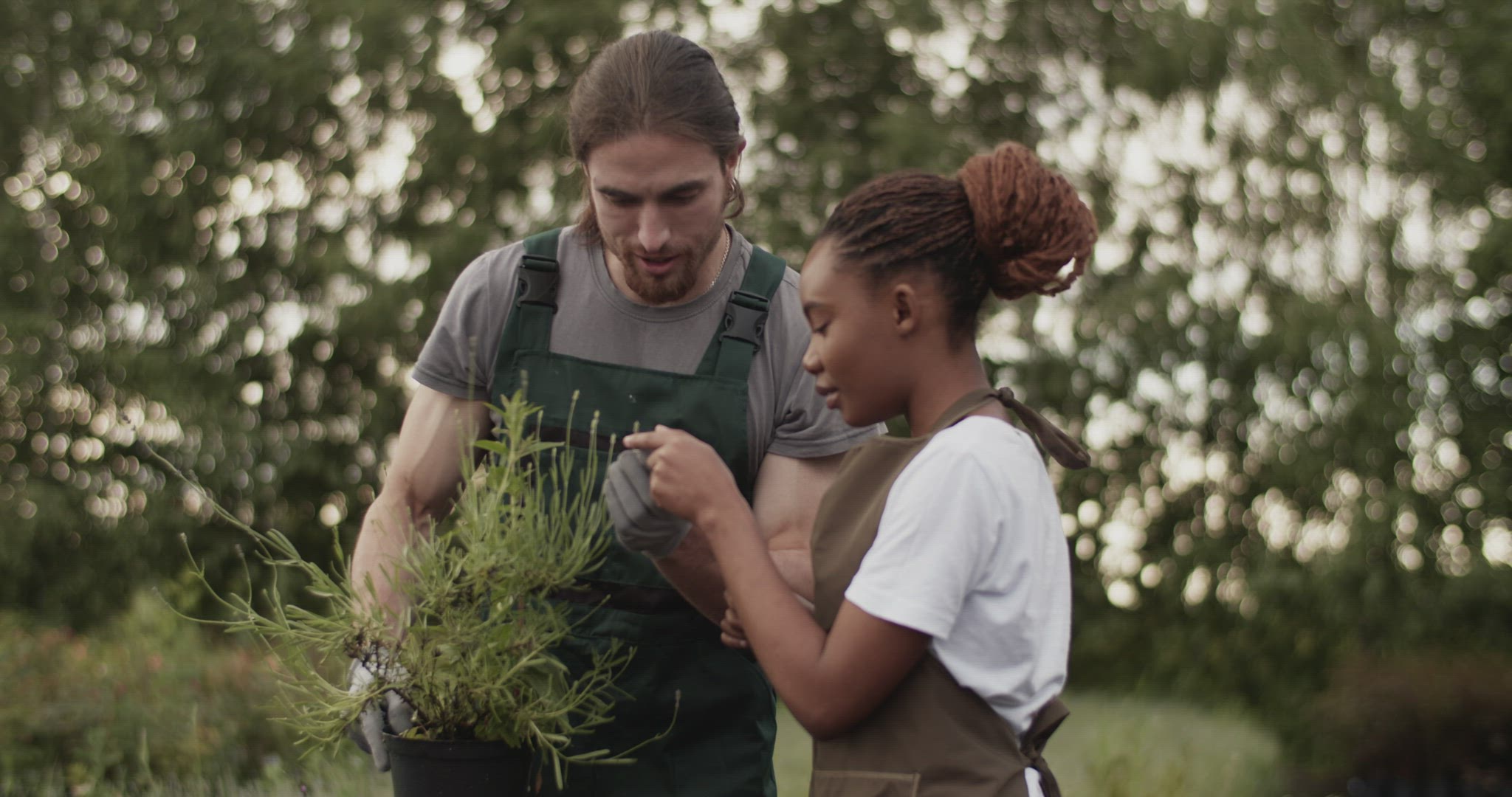 Diverse farmers checking plant quality