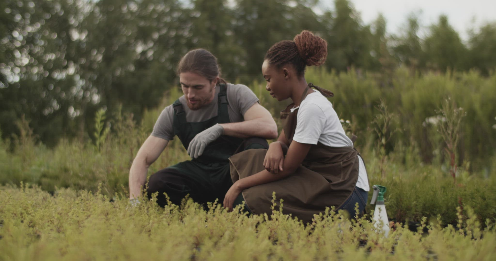 Multiracial colleagues examining plant on farm