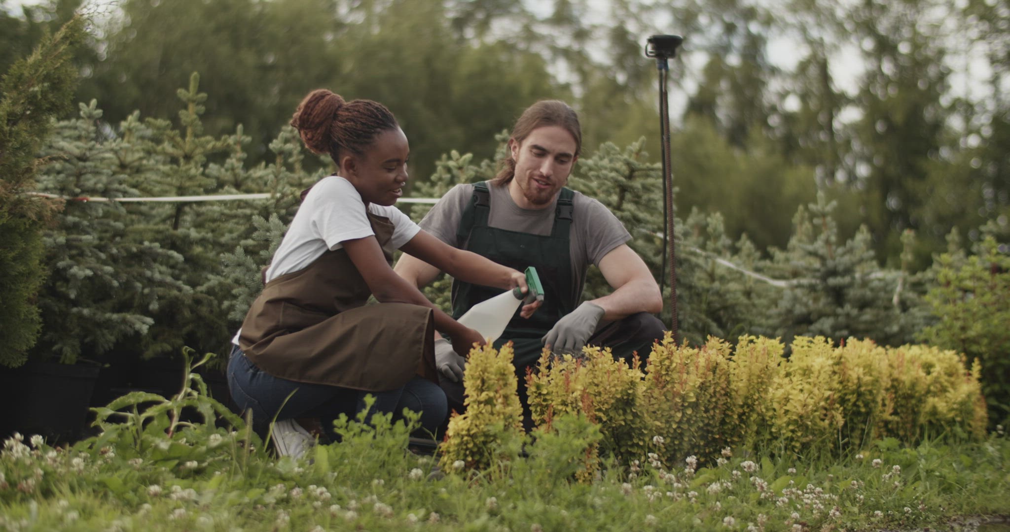 Multiracial colleagues fertilizing plants together