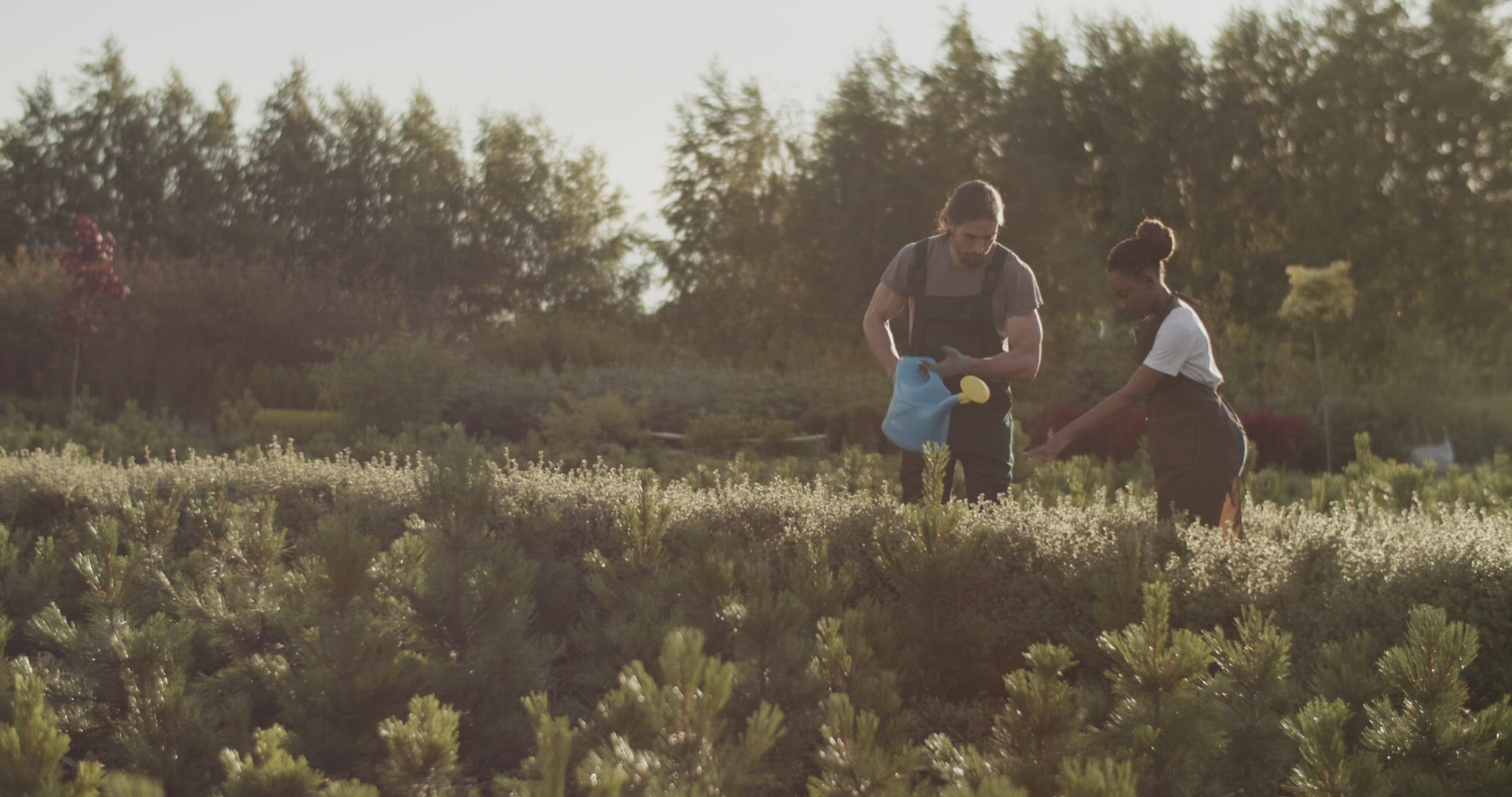 Diverse farmers watering plants together