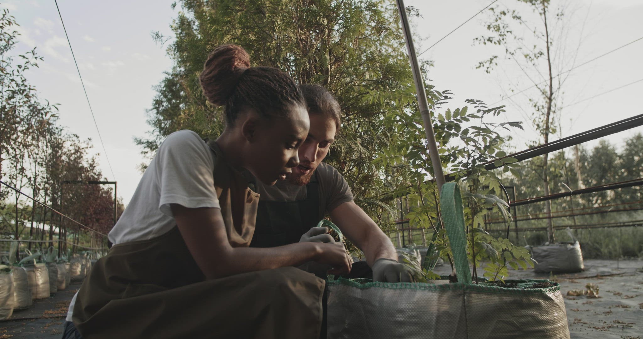 Diverse farmers inspecting sprouts in bag