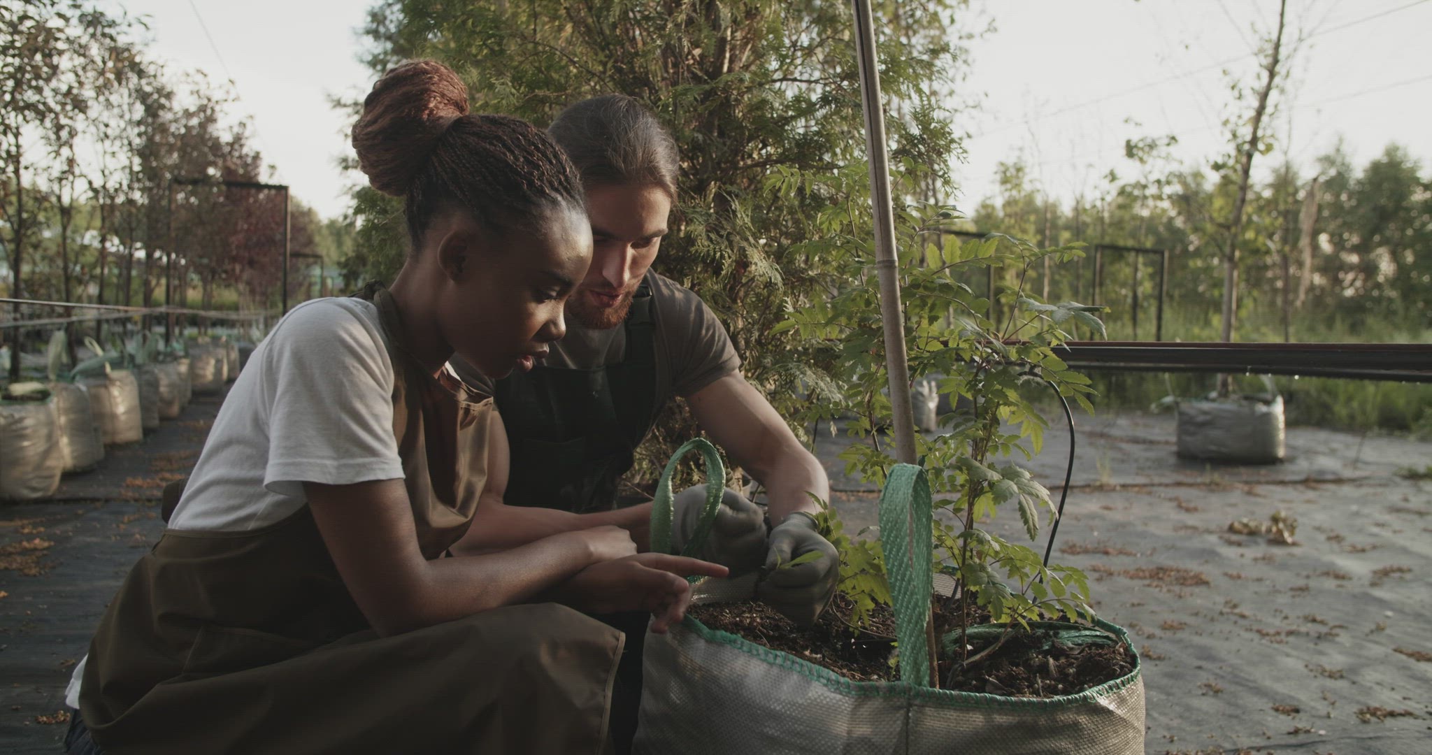 Diverse farmers inspecting sprouts in bag
