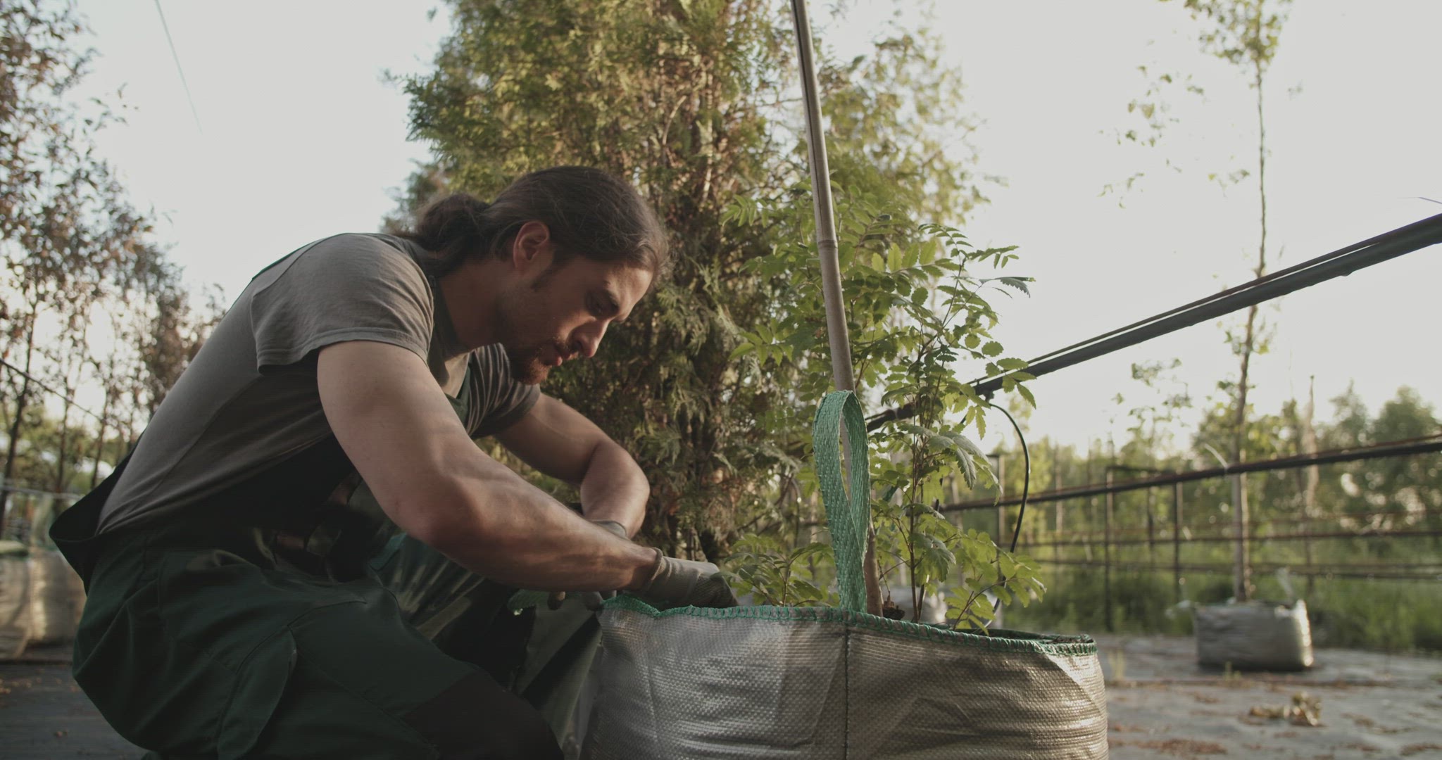 Man inspecting leaves of plant on farm