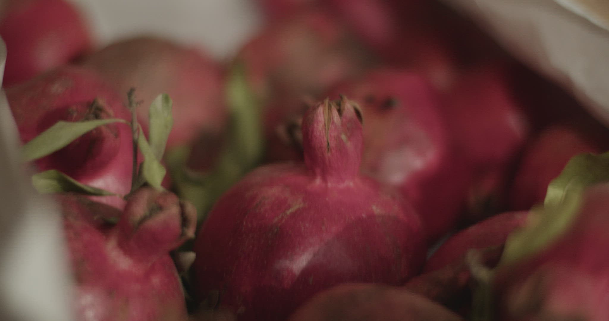 Ripe organic pomegranates in sack