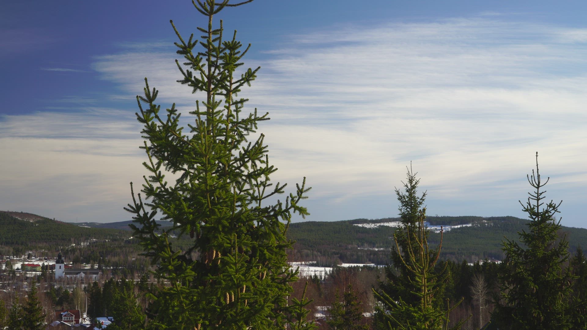 view over landscape with forests - trees in foreground - Järvsö church