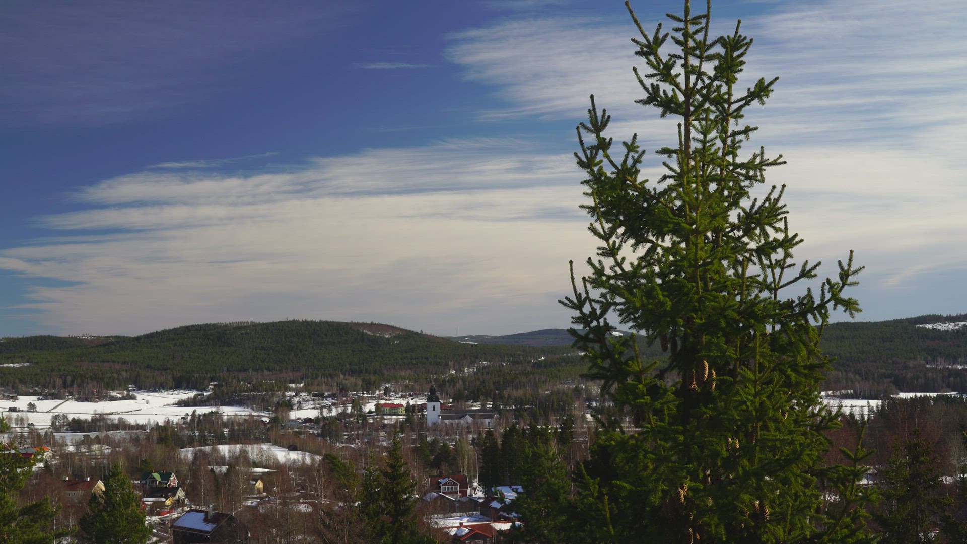 view over Järvsö in Hälsingland - spruce tree in foreground