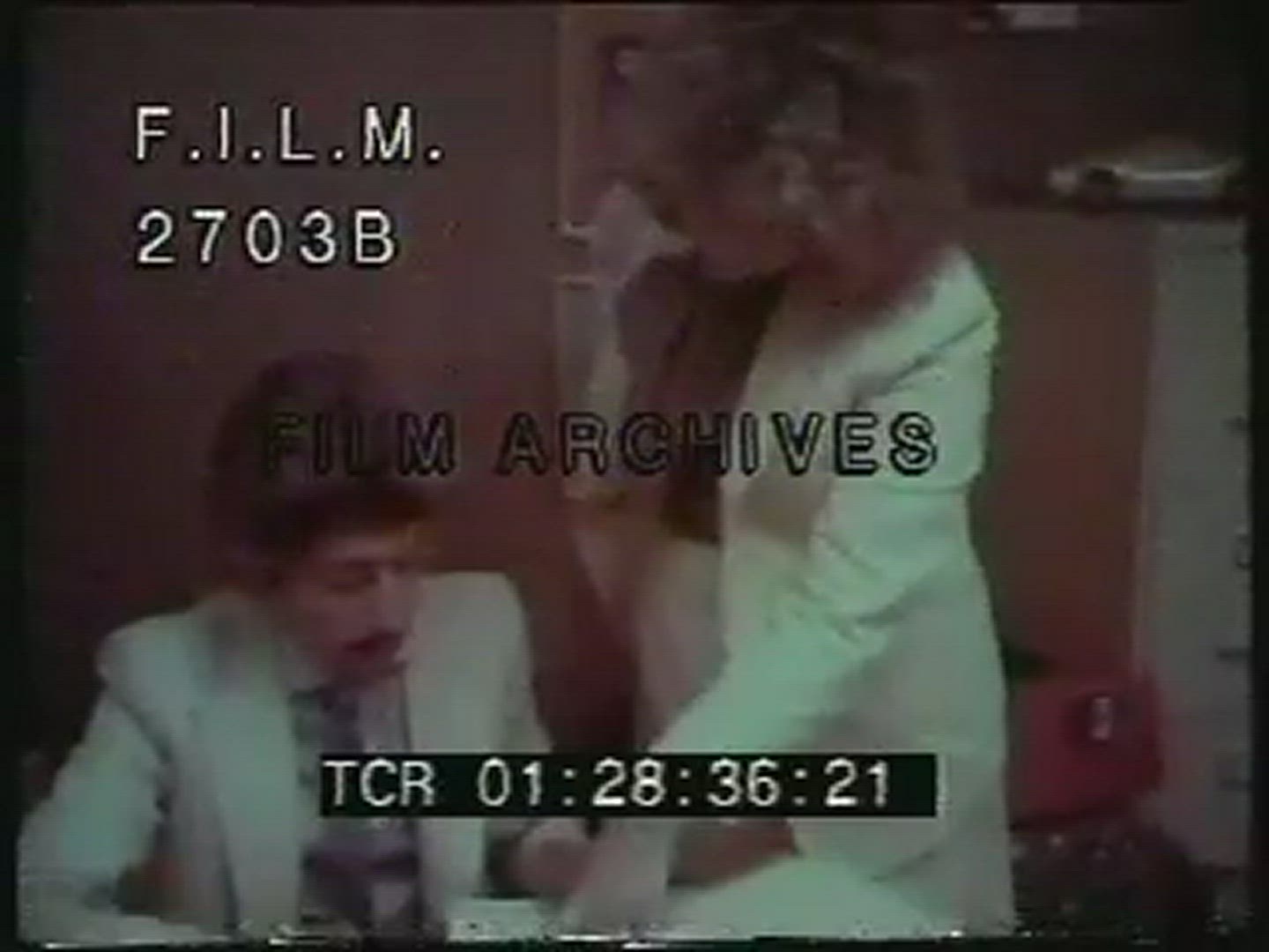 WOMEN IN INTELLECTUAL CAREERS 1960s - 1980s