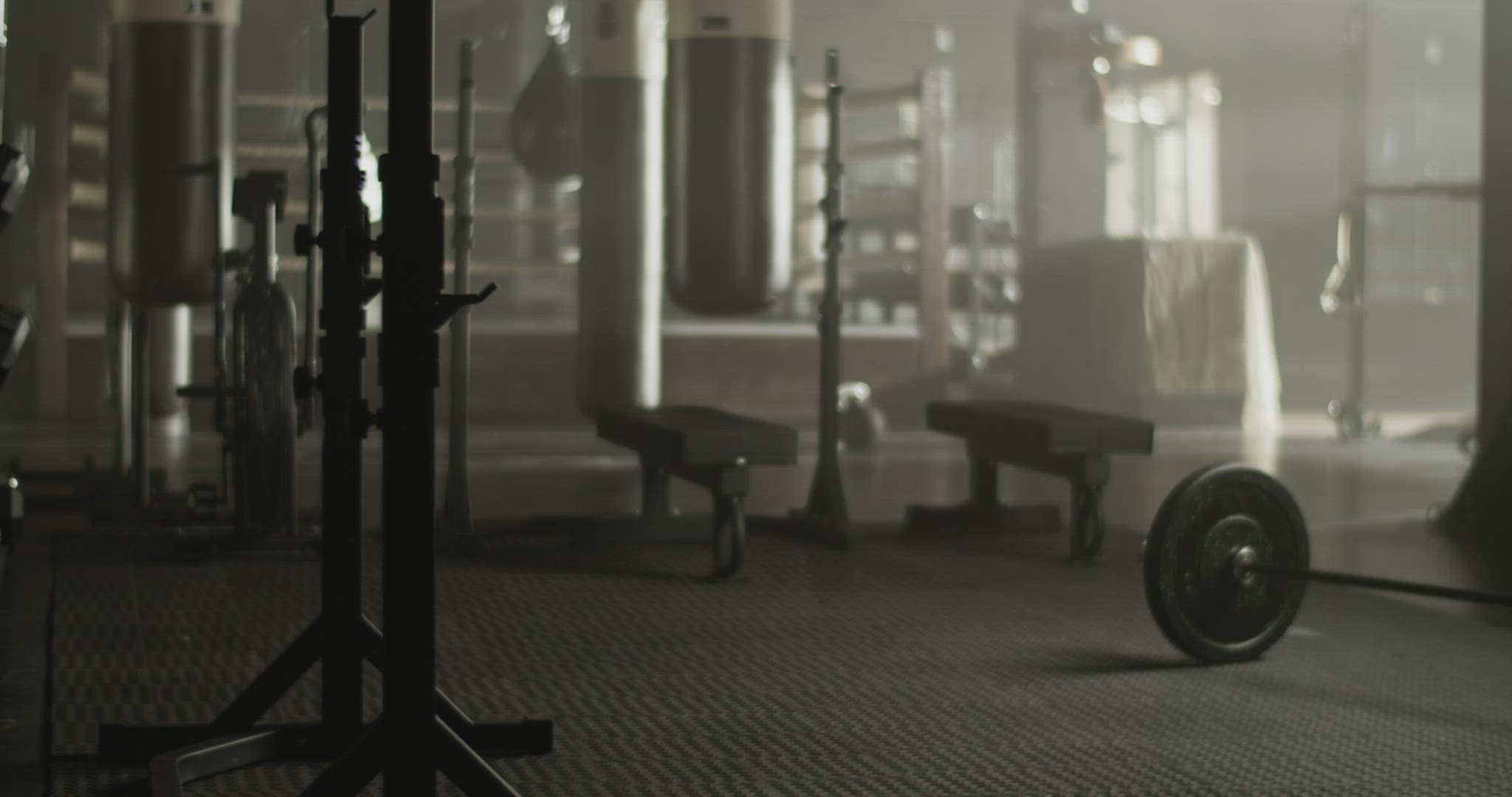 Spacious gym interior with various sports equipment
