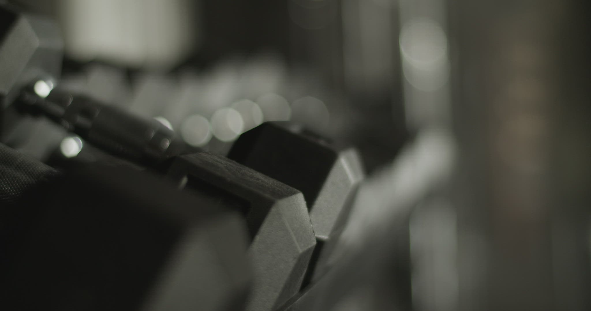 Set of dumbbells placed on rack in gym