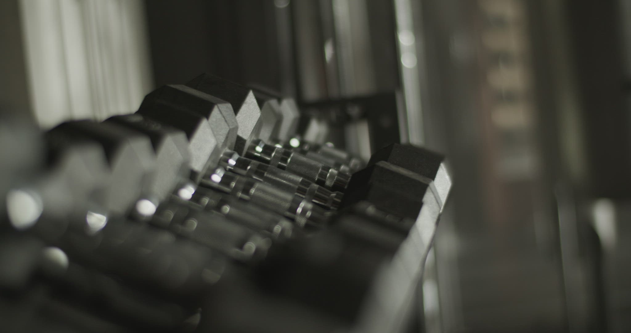 Stack of dumbbells placed on stand in gymnasium
