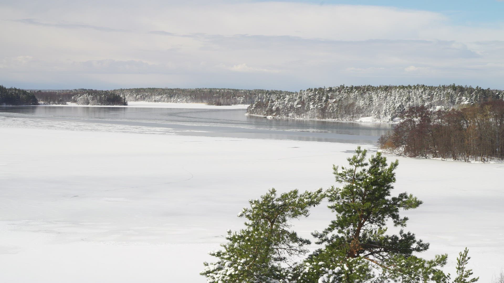 view over lake Mälaren - wintry landscape - ice and snow on lake - wind in pine tree in foreground