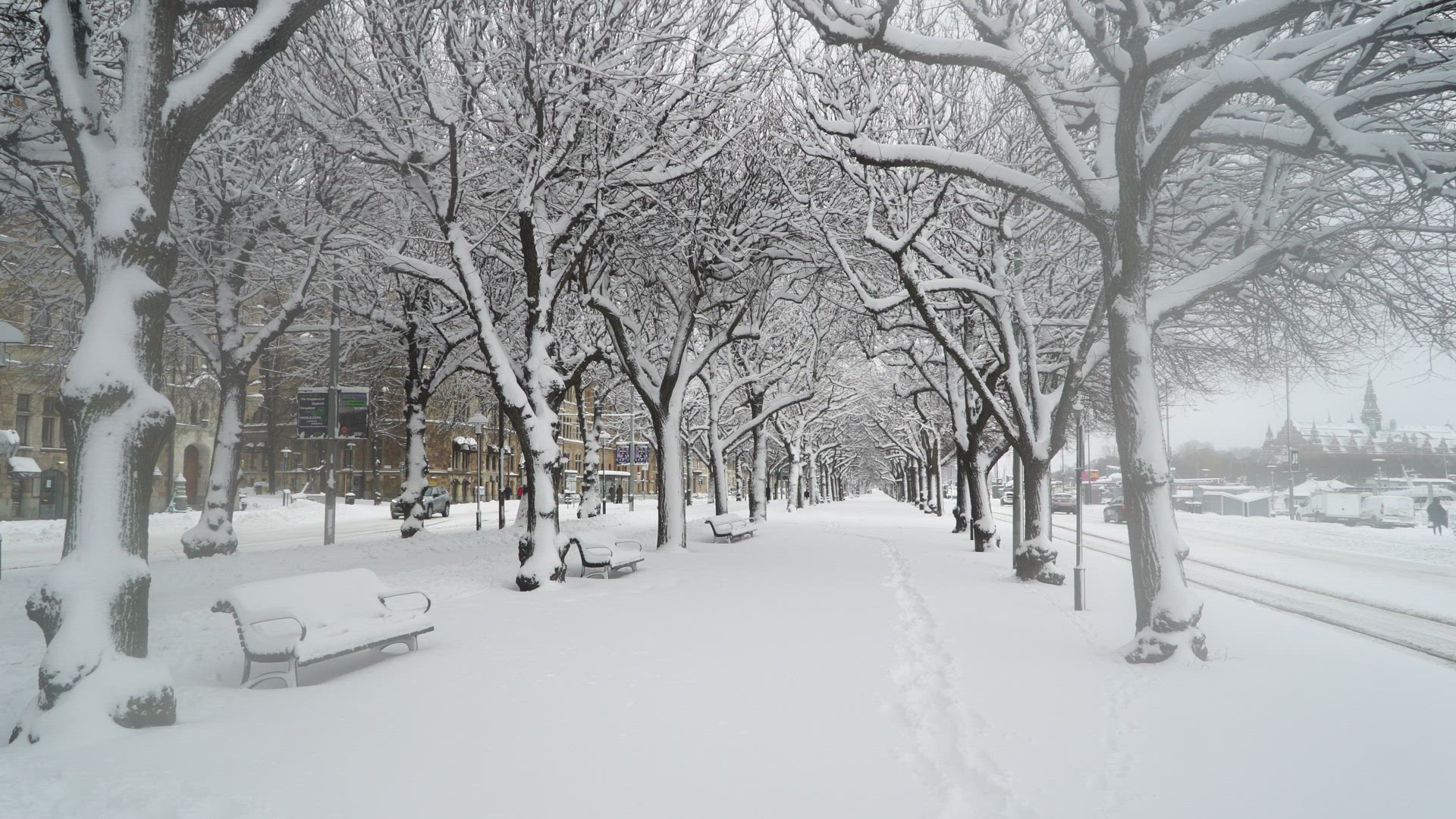 snow covered trees and walkway in central Stockholm - traffic on snowy streets