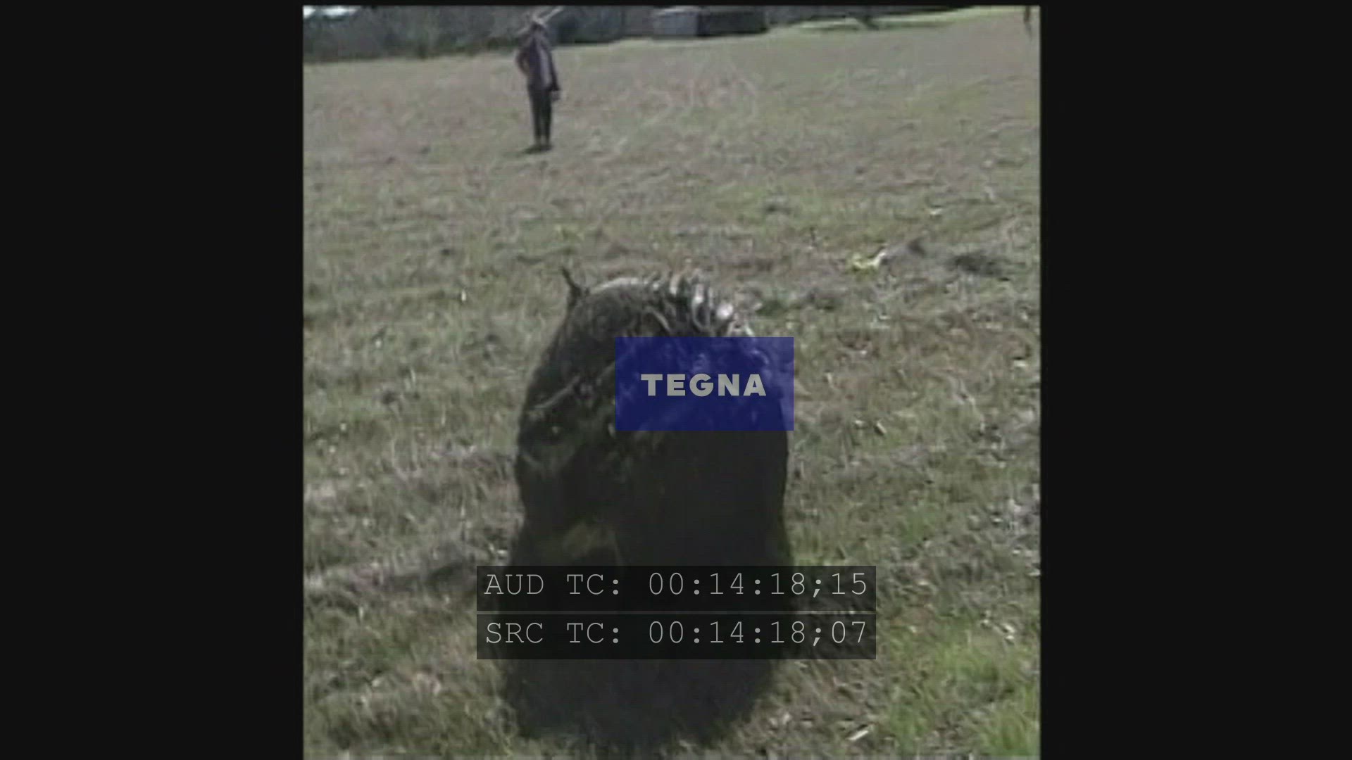 WFAA Columbia Shuttle Comp Reel
