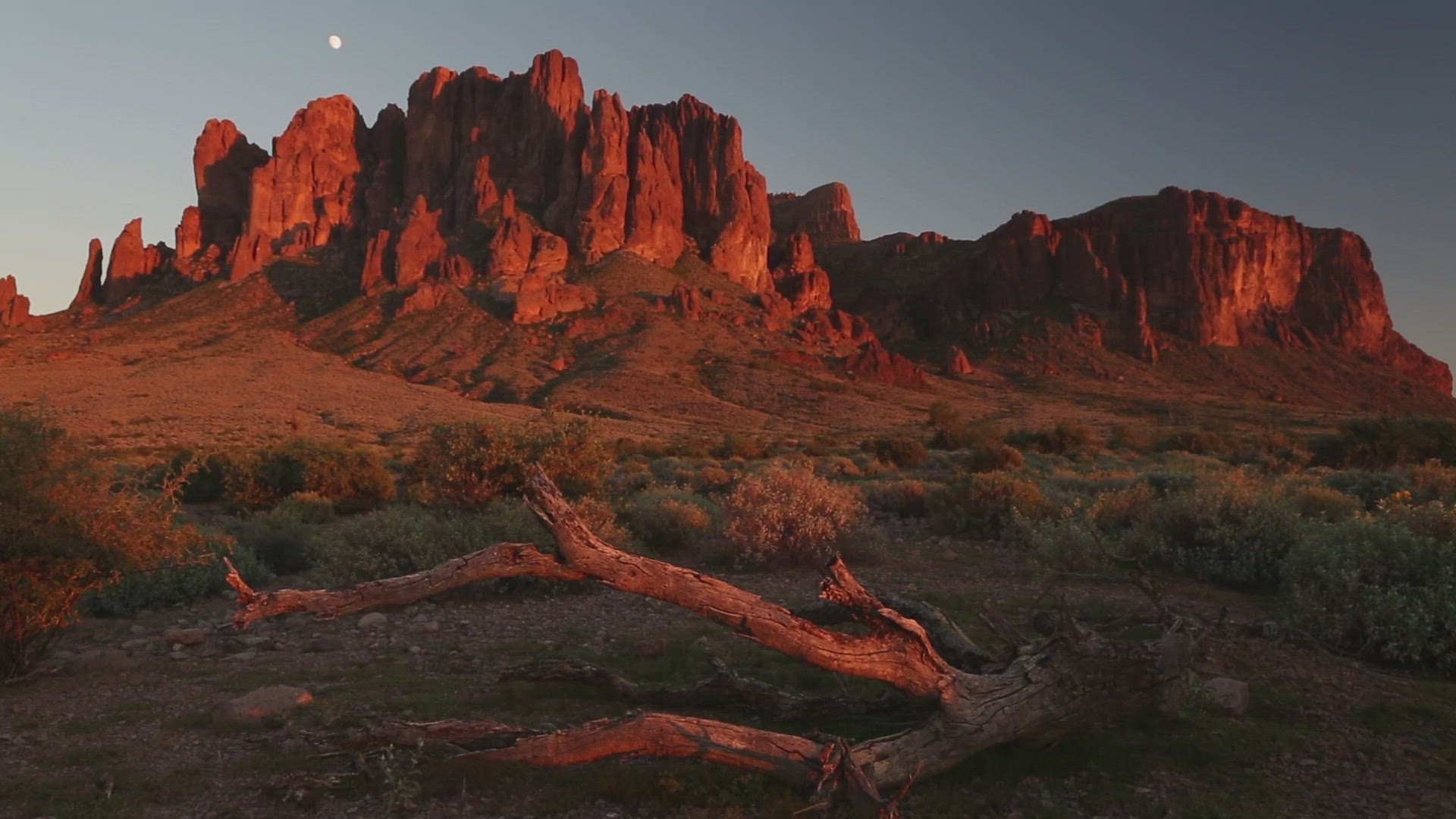 Log Below Western Superstition Mountains