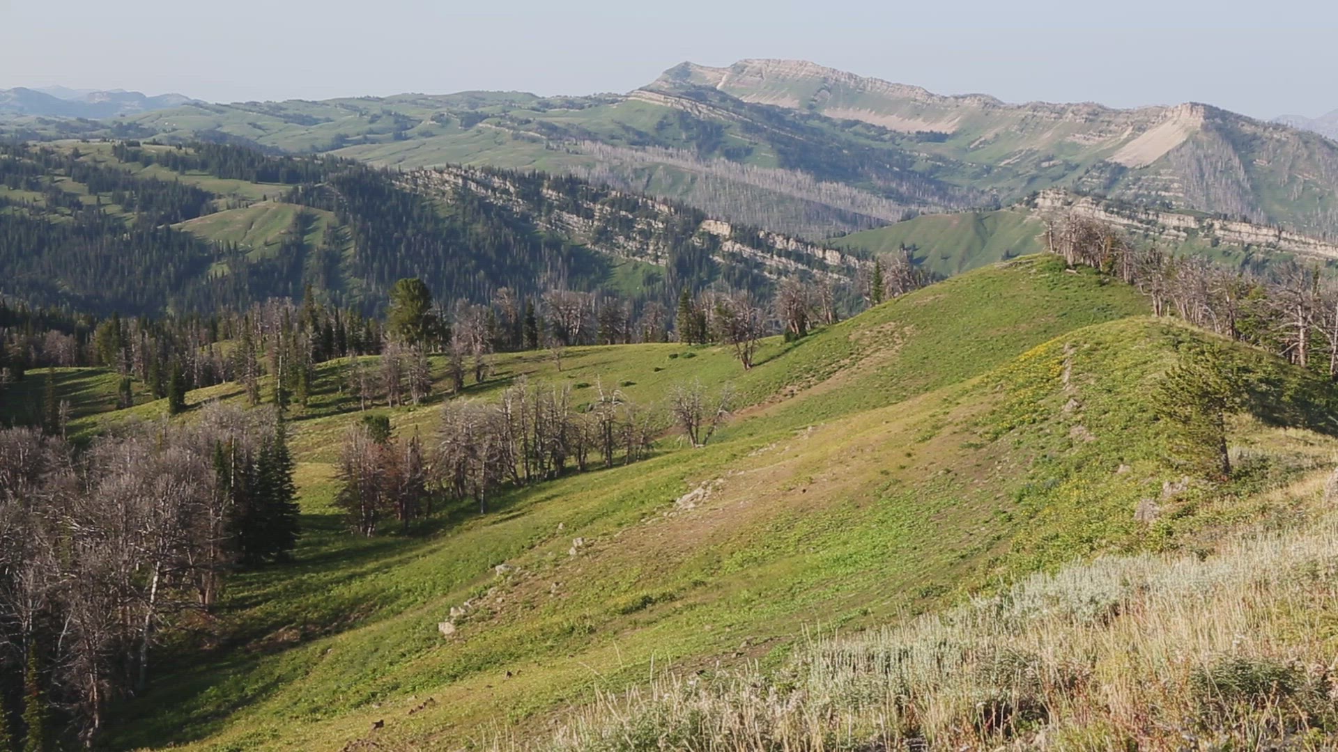 Vast Wyoming Range Landscape