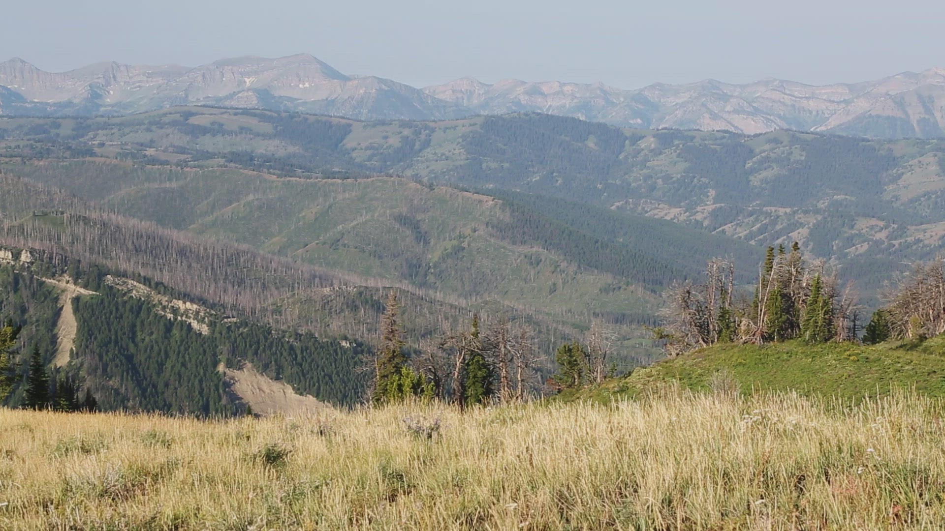 Distant Peaks Above Wyoming Range