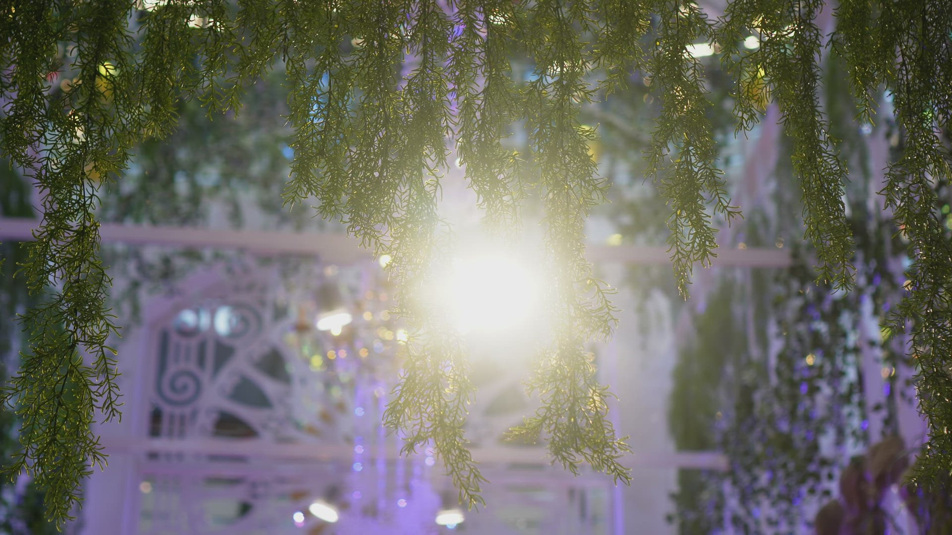 Select focus green flora decoration with led lighting