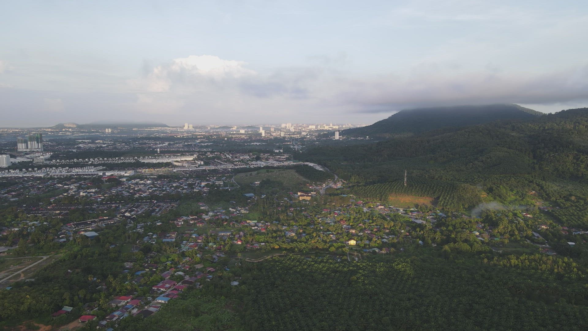 Aerial morning sunshine over plantation oil palm