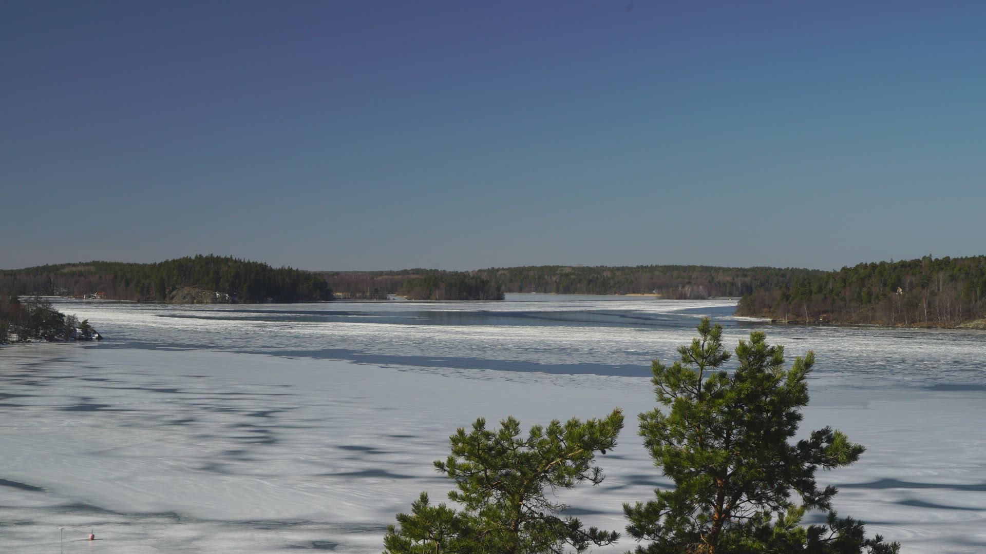 view over lake mälaren - wintry landscape - ice and snow on lake - wind in pine trees