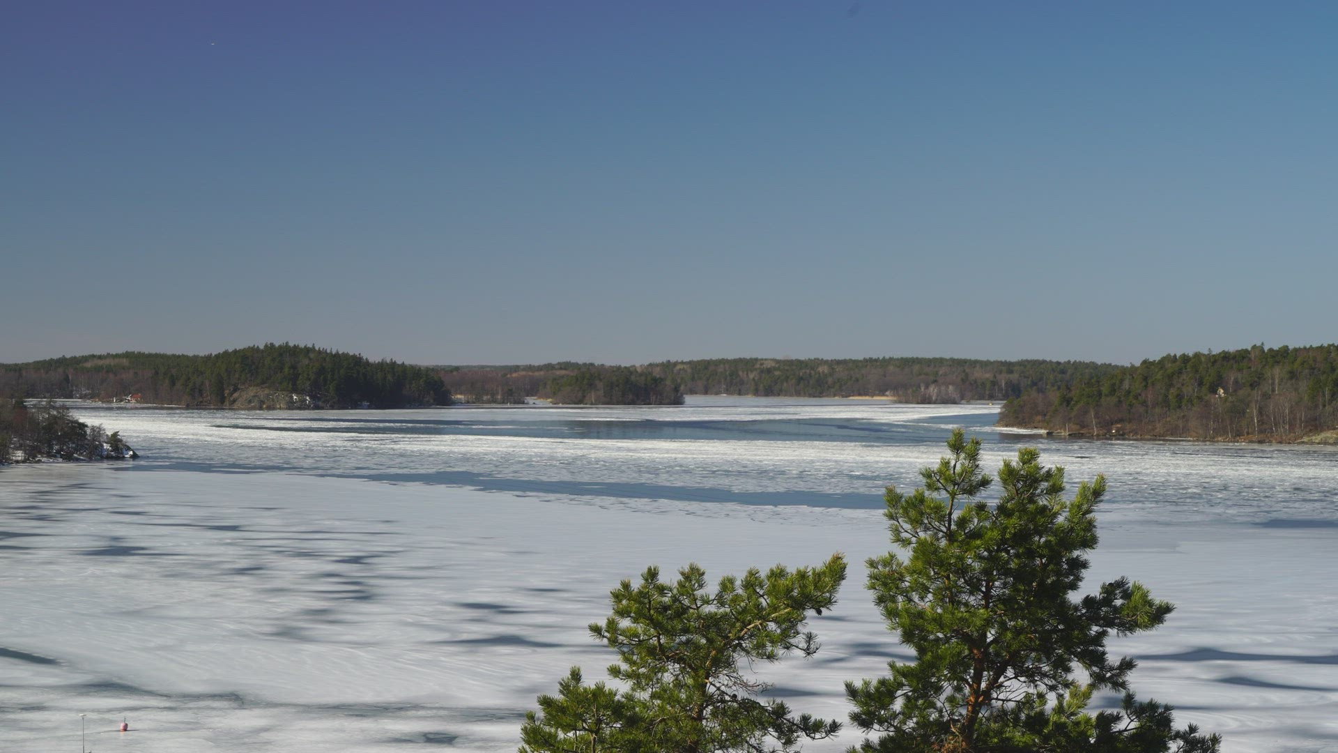 view over lake mälaren - winter - ice - wind in pine trees