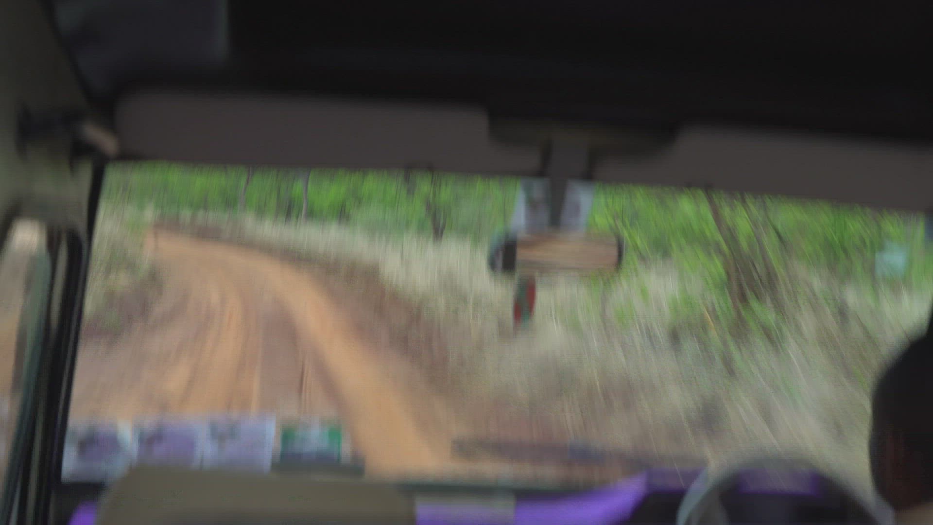 point of view from inside jeed - driving on bumpy road through savannah