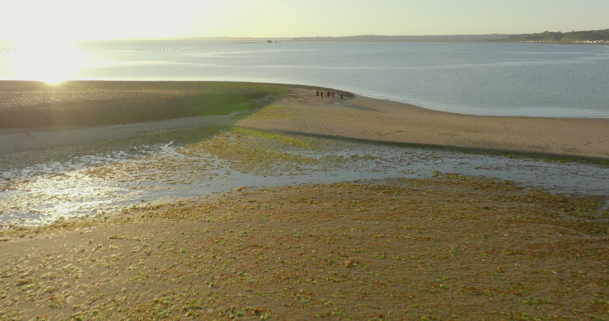 Aerial Flying Over Low Tide