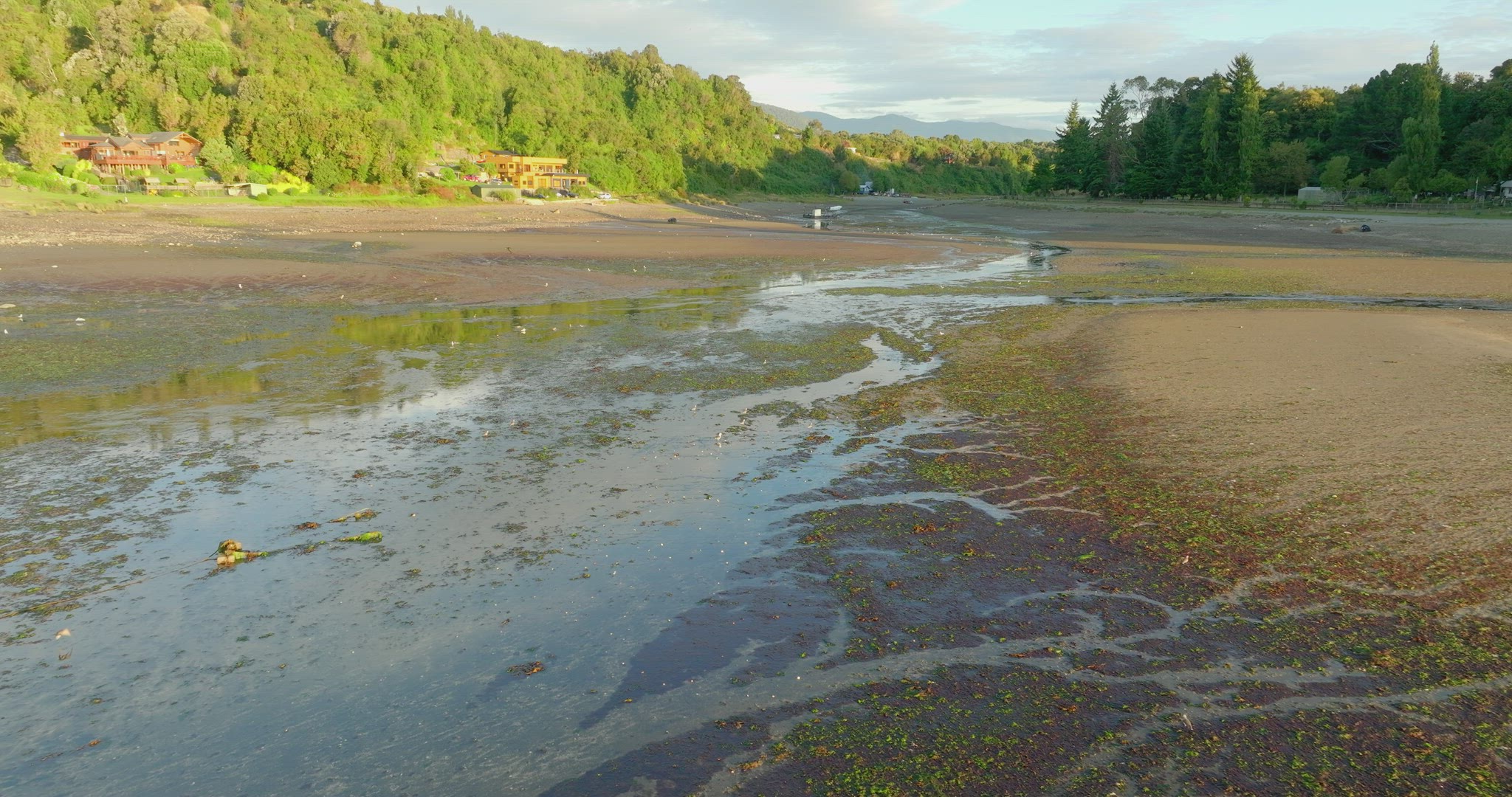 Aerial Flying Over Low Tide