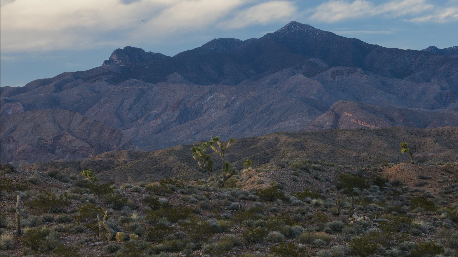 Southwest Mountain &amp; Lone Joshua Tree Timelapse 8K