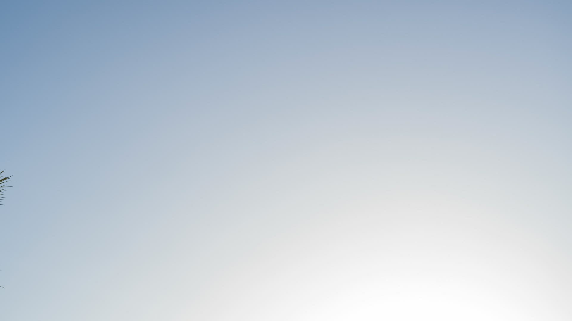 Joshua Tree Sunlight 6K