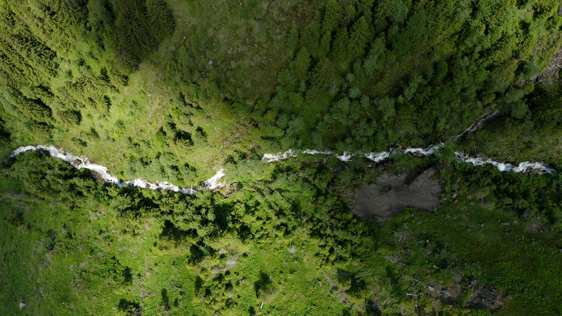 Aerial top down side movement along small steam in pinetree forest. Outdoor summer season. Austria, 