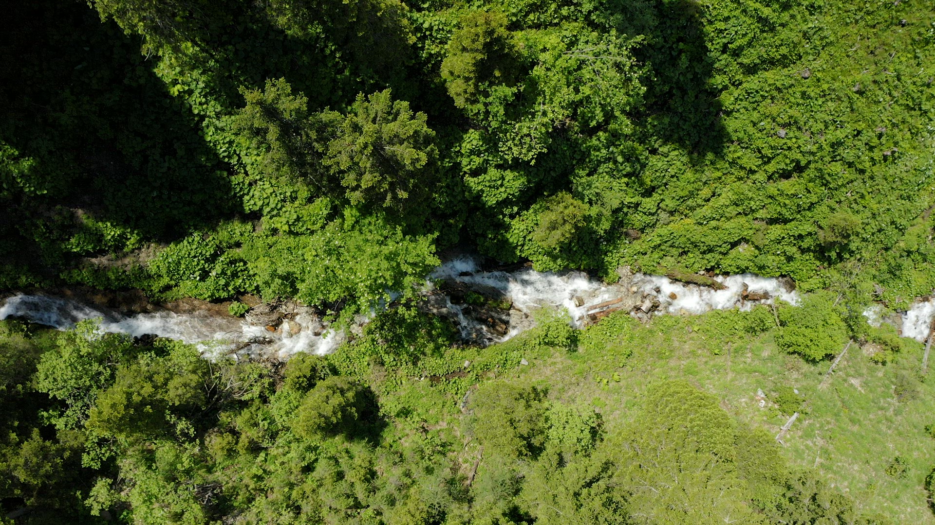 Aerial top down view of mountain steam in alpine pinetree forest. Outdoor summer season. Austria, Ty