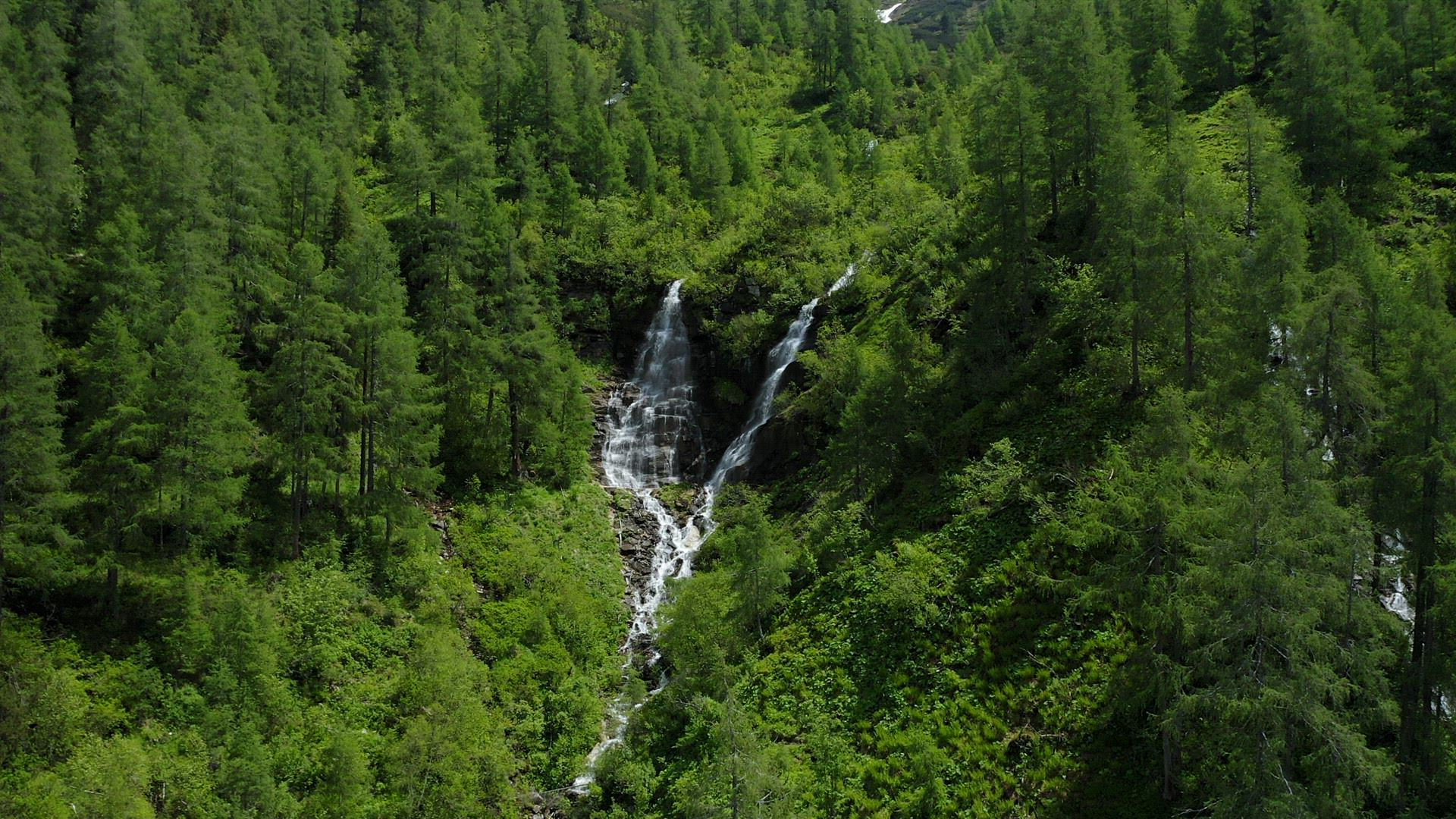 Aerial waterfall in pinetree forest in summer season. Austria, Tyrol